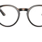 RY1594 3685 Tortoise
