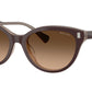 RA5326U 606574 Solid Brown Milky Brown