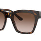 DG 4384 502/13 tortoise