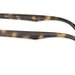 RY1601 3685 Tortoise