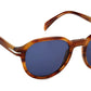 DB 1044/S Brown Horn Blue