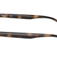 RB4361V Optics 2012