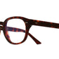 1380 Optical 02 Dark Turtle