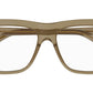 BV1227O shiny brown