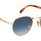 DB 1116/S 06J 08 Gold Havana