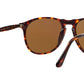 PO9649S havana brown