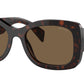 PR A08S 16N5Y1 Tortoise