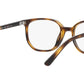 RY9097V 3685 Tortoise