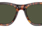 PO0054S 24/31 Havana