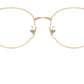 RB6538D Optics 3193
