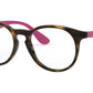 RY1554 3729 Tortoise