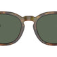 PH4206 501771 Brown Tortoise
