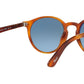 PO3171S terra di siena blue