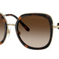 RL7088 911613 Dark Havana