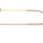 RL5129 9116 Pale Gold