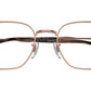 RB6496 Optics 3094