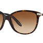 RA5160 510/13 Dark Tortoise