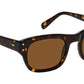 Nebb Sun Tortoise