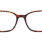 VILLE HVBE Tortoise