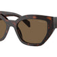 PR A09S 16N5Y1 Tortoise