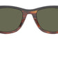 Wayfarer Street Neat RB2240 144058