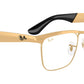 RB3875V Optics 3191