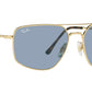 RB3666 001/62 arista