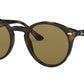 RB2180 dark havana