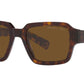 PR 02ZS tortoise