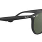 RB4306 601/71 black