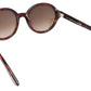 Carter FT0199 56K Classic Havana Brown