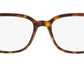 PR 04YV tortoise