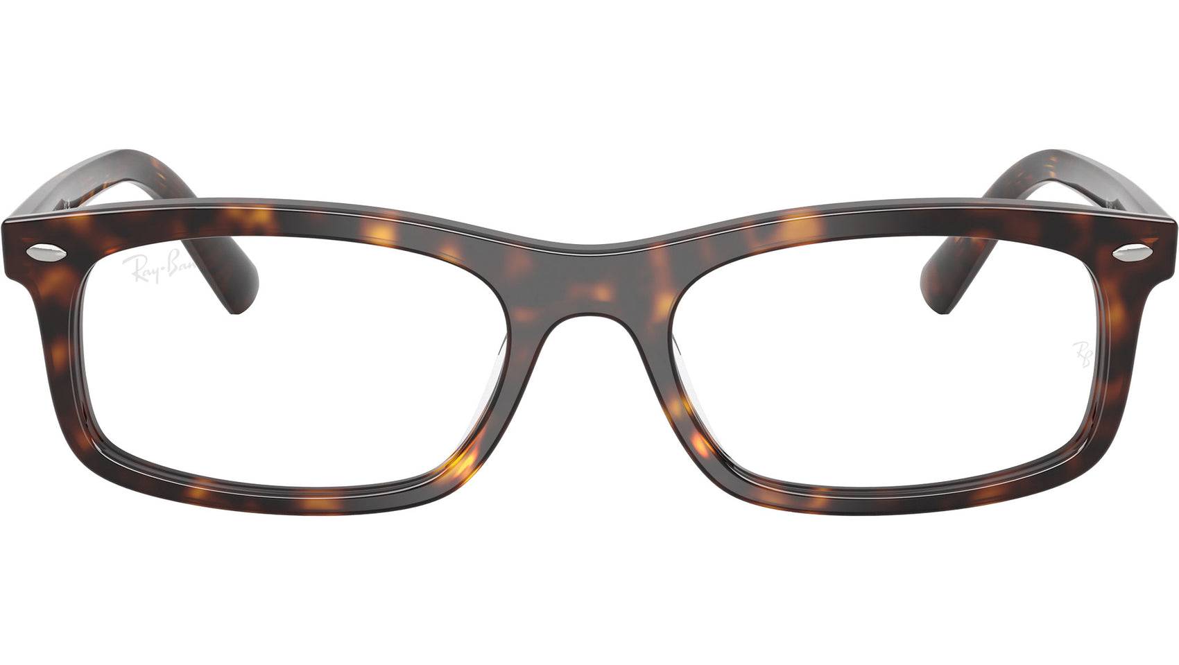 RB5450 Optics 2012