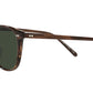 Forman L.A OV5414SU Tuscany tortoise