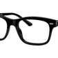 Mr Burbank Optics RB5383 2000