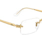 RB3928V Optics 2500