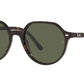 Thalia RB2195 902/31 havana