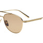 CC Titan Pantos Gold