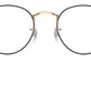 RB3447V Optics 3173