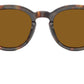 Cary Grant Sun OV5413SU 180153