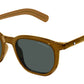 MB0352S 002 Dark Brown Green