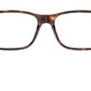 PH2273 6137 Brown Tortoise