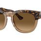Mega Hawkeye RB0298S 1292M2 Havana Brown