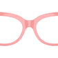 DX 5005U 3098