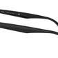 RB4306 601/71 black