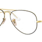 Aviator Optics RB6489 2890