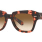 State Street RB2186 133451 Pink Havana