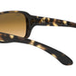 RB4068 tortoise