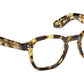 Momza Heritage Tortoise