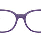 RY1631 3962 Purple